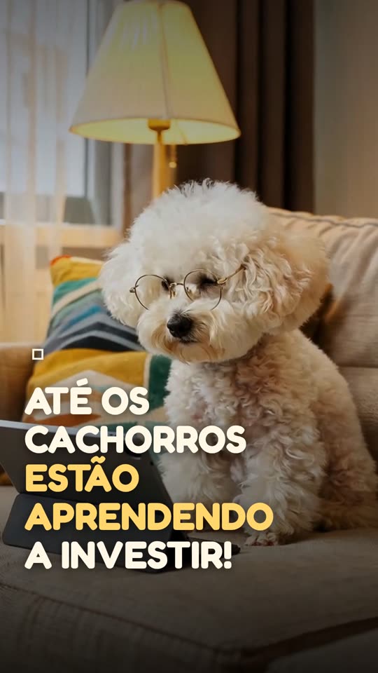 Anúncio Publicitário